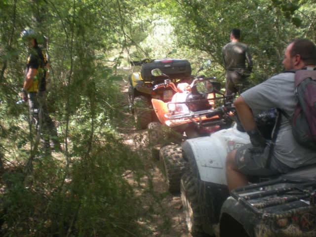  Fila de quads 