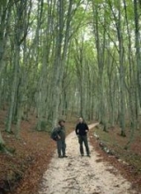  Trekking en el Parque del Gargano 