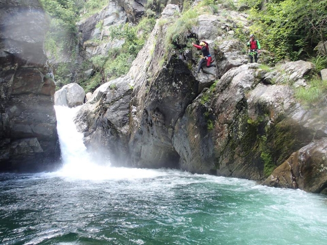  dive2
