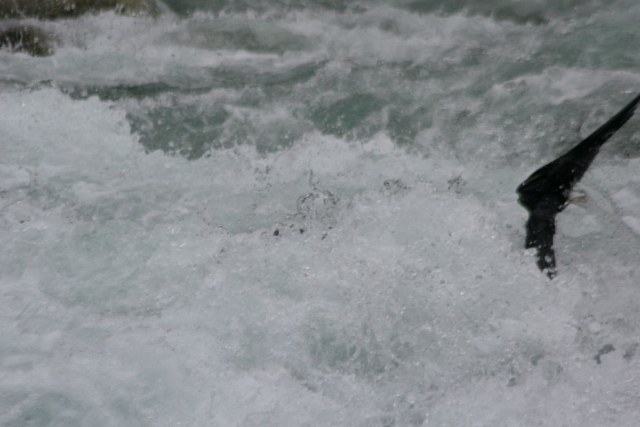  Abrumado por el agua 