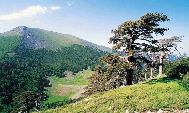  Hermosas vistas 