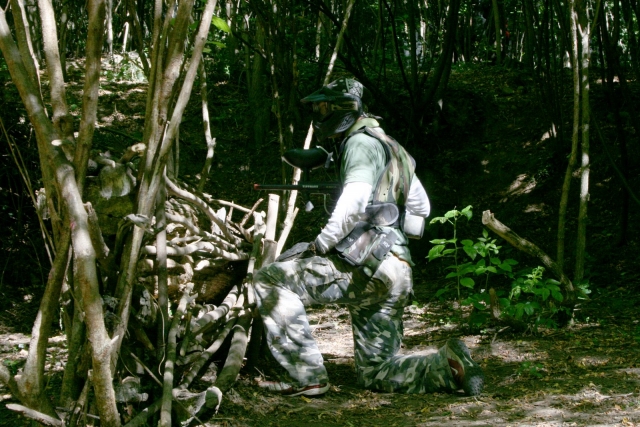 Estrategias ganadoras 