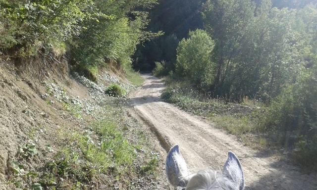  Senderos a caballo 