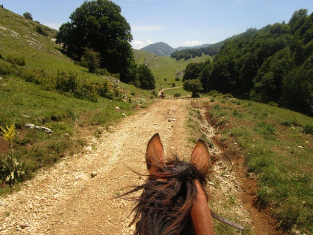  Camino de tierra a caballo 