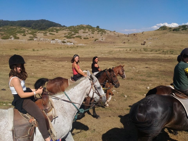  Todos en grupo a caballo 