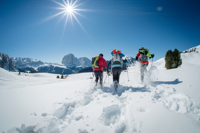  Excursión con raquetas de nieve 