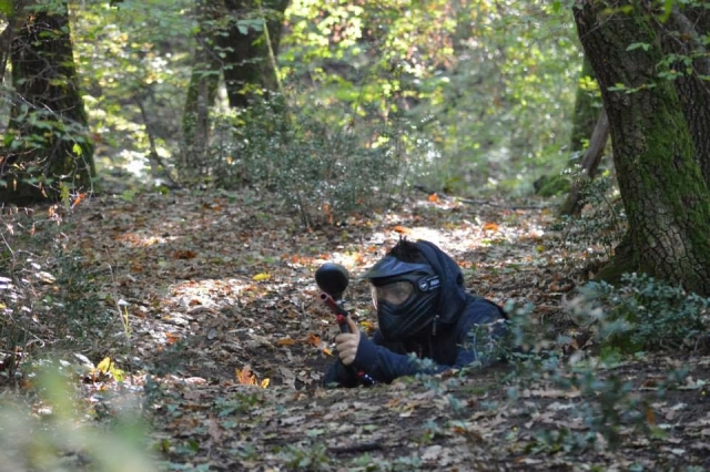  Tramarrando de integrarme en el bosque 