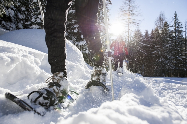  Inmersos en la nieve 