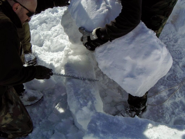  ¿será bajo la nieve? 