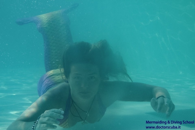  A sirena