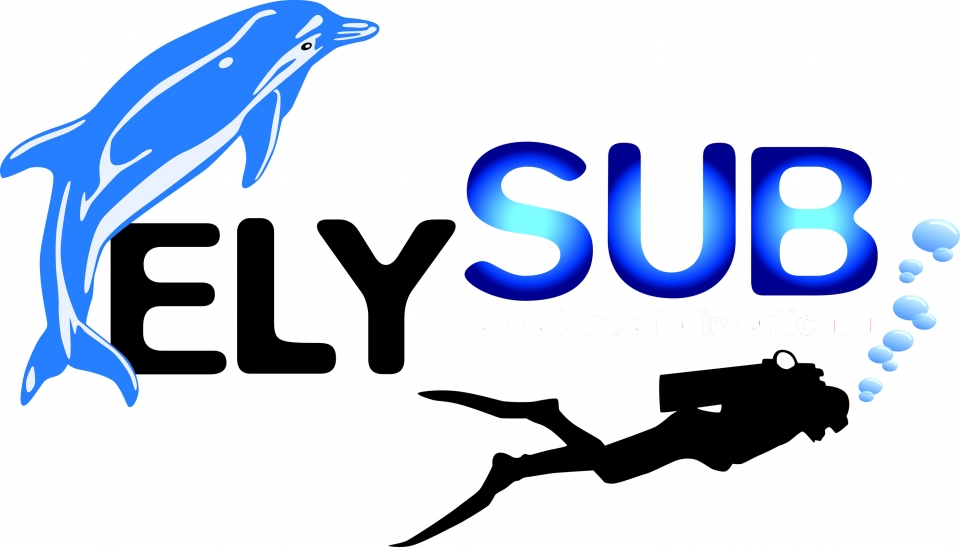  Logotipo de Elysub