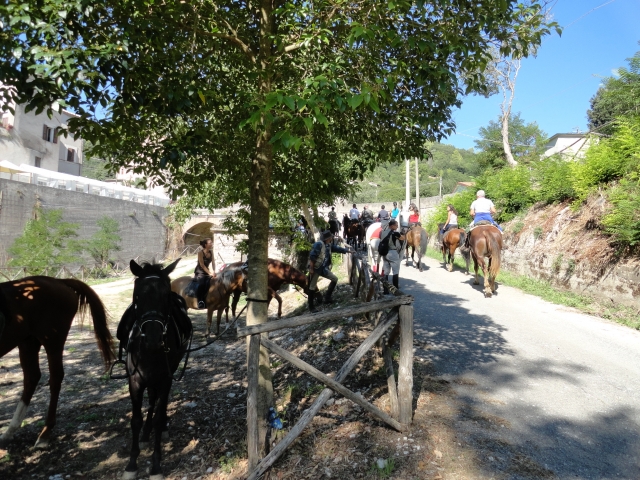  Estancia y excursiones ecuestres en la Sabina 