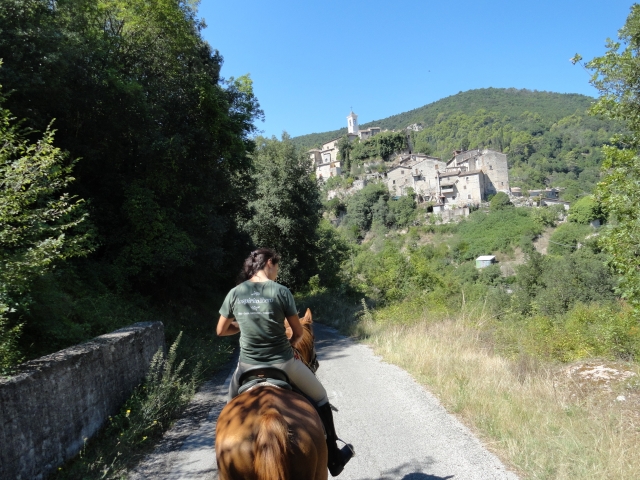  Turismo ecuestre en Rieusted 