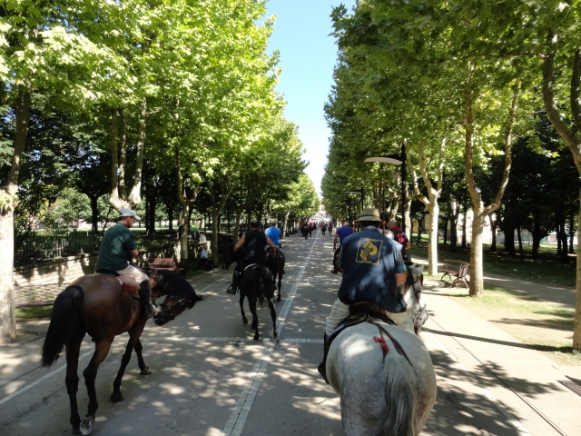  excursiones para jinetes y principiantes 