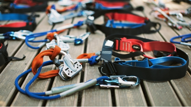  seguridad en el parque experince del árbol