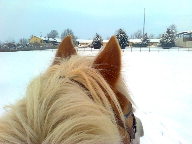 Paseo invernal 