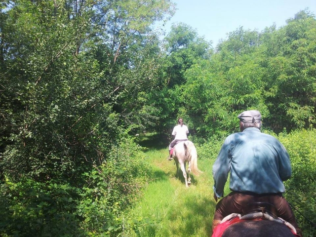  Paseo por el verde 