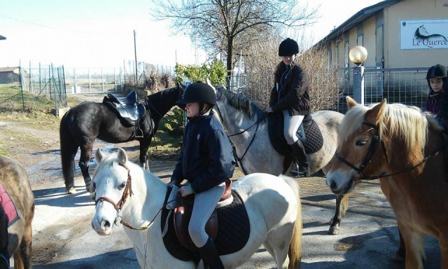  Ponis y caballos