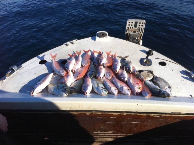  Pesca copiosa 