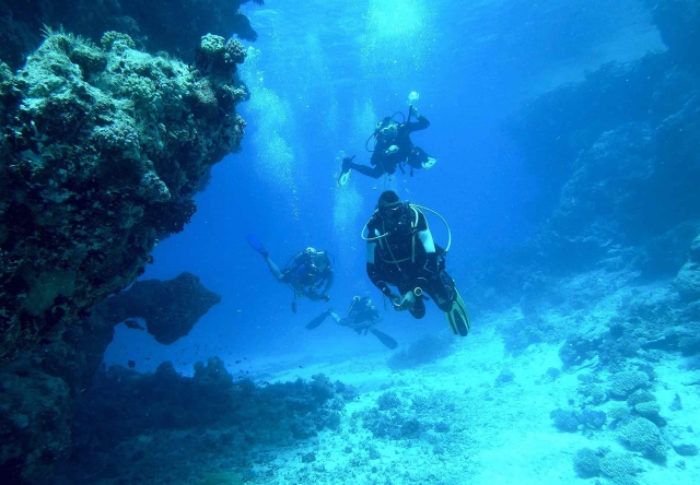  buceo 