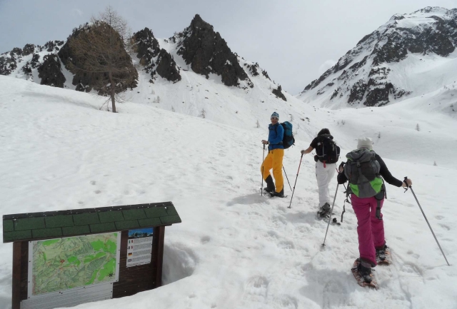  En la nieve 