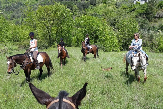 pbaños a caballo 