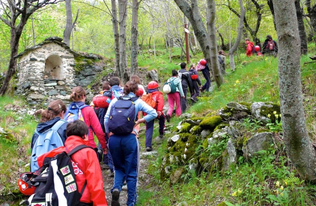  Trekking 