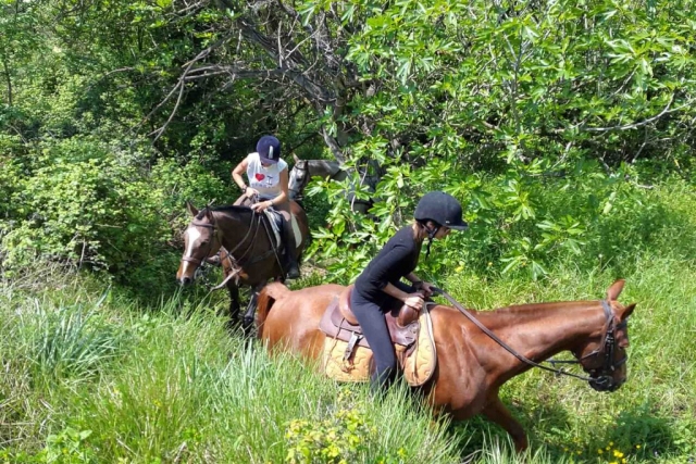 Cabalgamarras 