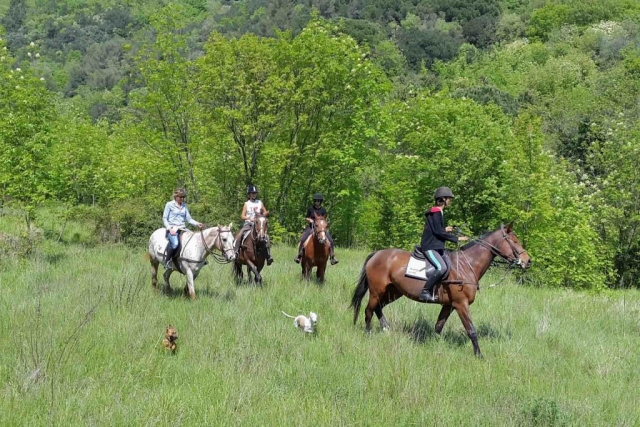 Cabalgamarras por el campo 