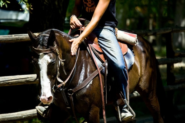  Excursiones a caballo 