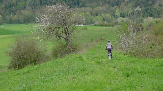  Ciclismo en las verdes praderas del Pollino 