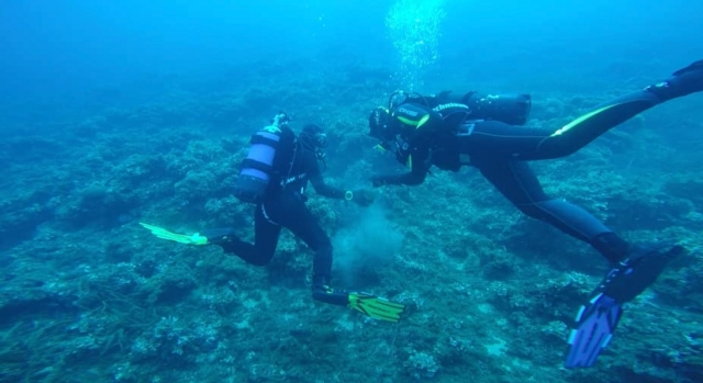  buceo 