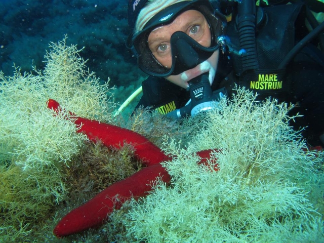 Mare Nostrum Diving Palermo