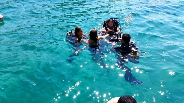  entre los rayos del sol 