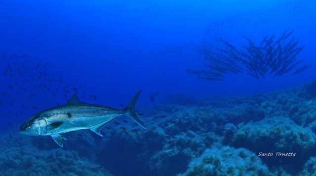  la naturaleza del fondo marino 