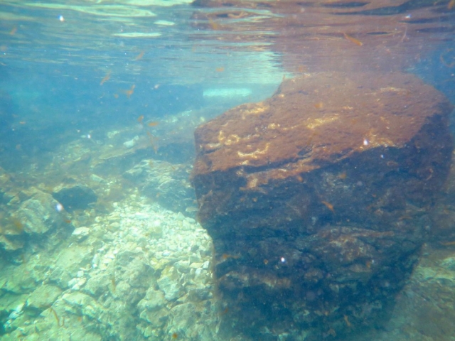  Lugares de buceo 