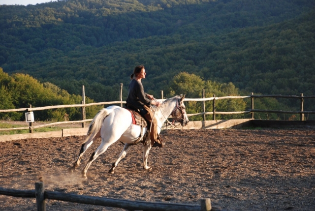  nosotros y los caballos 