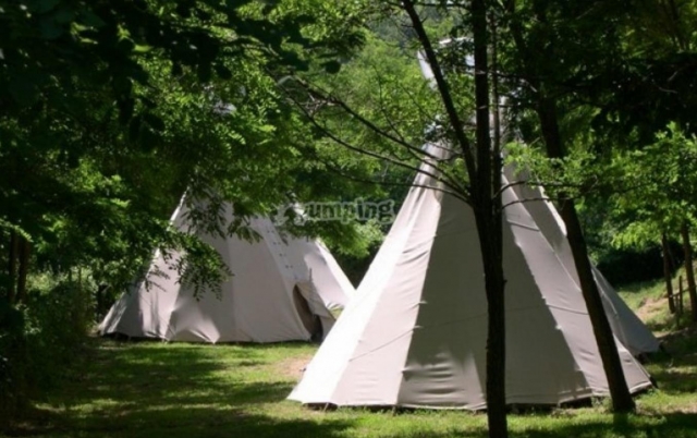  tipi 