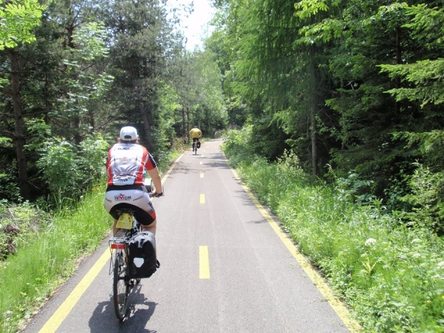  Paseo por el bosque 