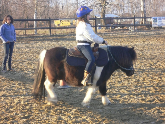  También para los más pequeños 