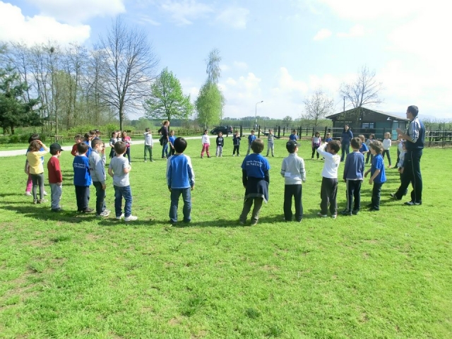  Actividades educativa para niños 