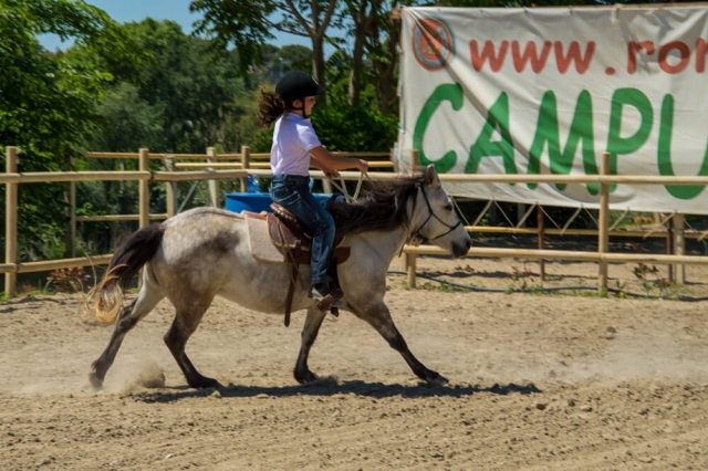  caballo