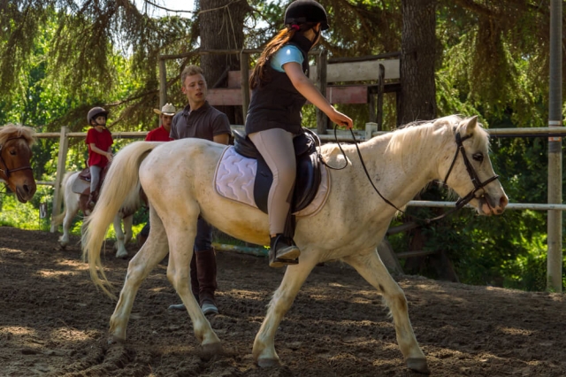  Caballos impresionantes 