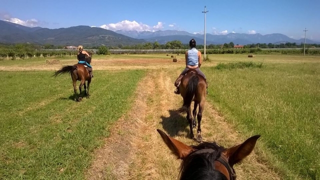  Excursión 
