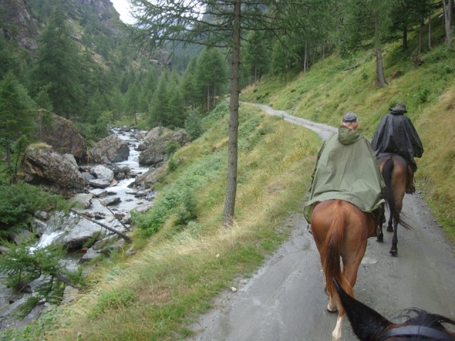  A caballo por el bosque 