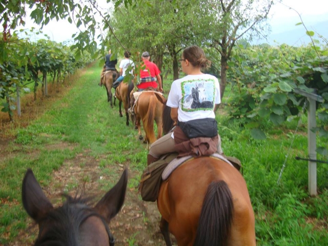  Cabalgando entre la naturaleza 