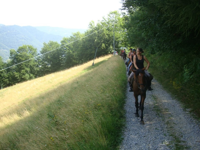  Trekking 