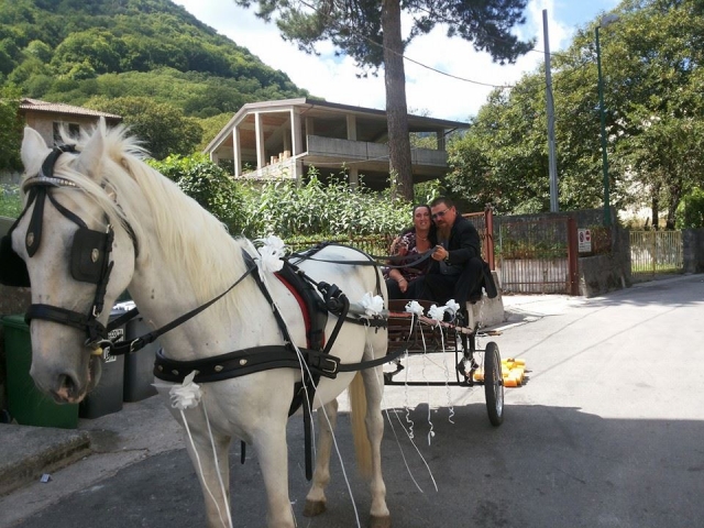  Paseo en carruaje 