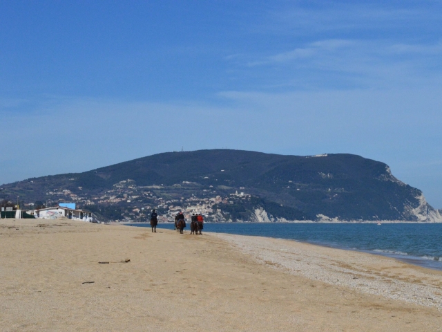  Galopando por las playas sardas 