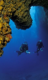  Viajes de buceo 